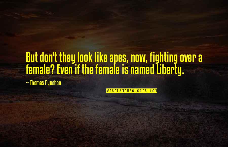 20 Most Romantic Movie Quotes By Thomas Pynchon: But don't they look like apes, now, fighting 20 Most Romantic Movie Quotes By Thomas Pynchon: But don't they look like apes, now, fighting
