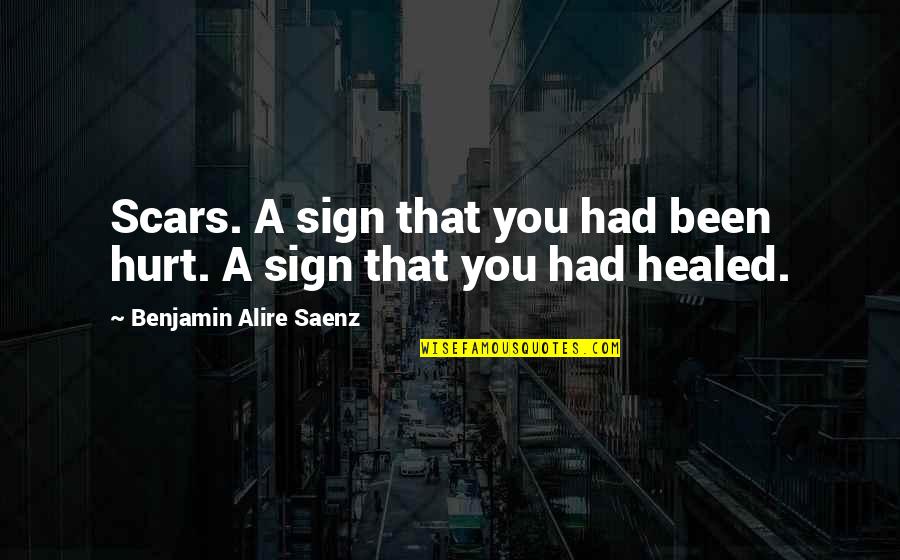 20 Wisdom Quotes By Benjamin Alire Saenz: Scars. A sign that you had been hurt.