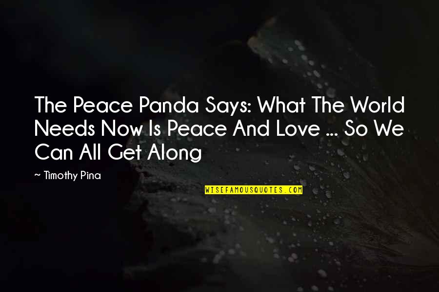 20 Years Of Service Quotes By Timothy Pina: The Peace Panda Says: What The World Needs