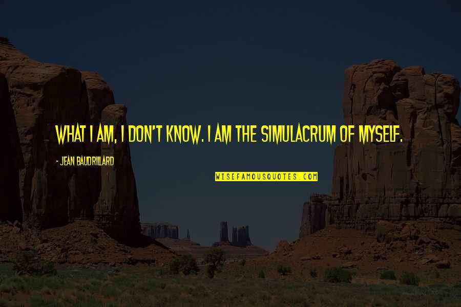 2011 Tuscon Shooting Quotes By Jean Baudrillard: What I am, I don't know. I am 2011 Tuscon Shooting Quotes By Jean Baudrillard: What I am, I don't know. I am