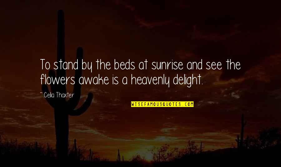 2012 Movie Memorable Quotes By Celia Thaxter: To stand by the beds at sunrise and