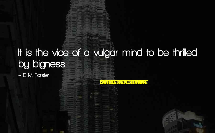 2013 Year End Quotes By E. M. Forster: It is the vice of a vulgar mind