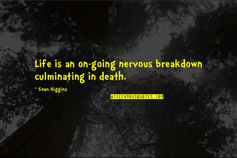 2015 Tumblr Quotes By Sean Higgins: Life is an on-going nervous breakdown culminating in