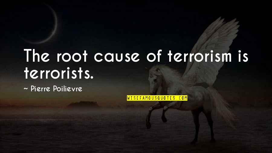 2019 Graduation Quotes By Pierre Poilievre: The root cause of terrorism is terrorists.