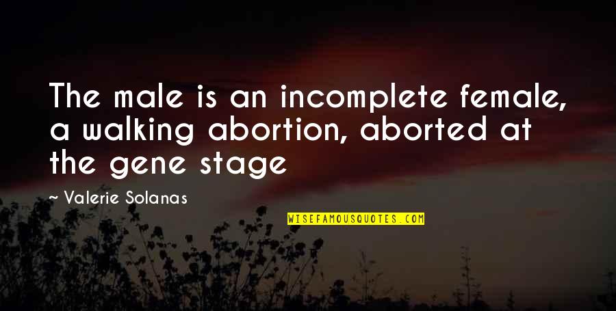 20706 Quotes By Valerie Solanas: The male is an incomplete female, a walking