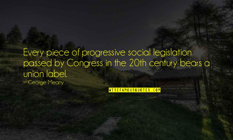 20th Century Quotes By George Meany: Every piece of progressive social legislation passed by