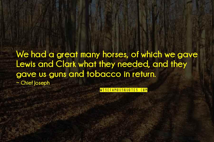 21 Century Quotes By Chief Joseph: We had a great many horses, of which