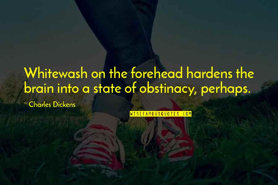 21 Jump Street Series Quotes By Charles Dickens: Whitewash on the forehead hardens the brain into