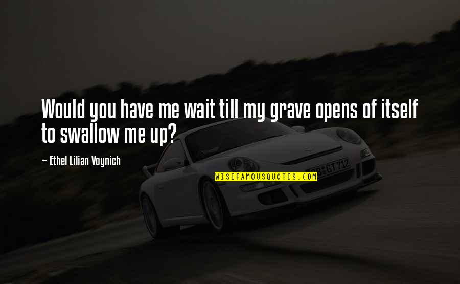 21bhe Quotes By Ethel Lilian Voynich: Would you have me wait till my grave 21bhe Quotes By Ethel Lilian Voynich: Would you have me wait till my grave