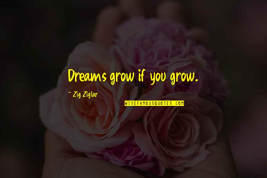 21st Birthday Wishes Quotes By Zig Ziglar: Dreams grow if you grow.