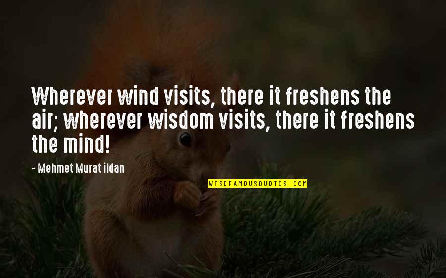 21st Century Libraries Quotes By Mehmet Murat Ildan: Wherever wind visits, there it freshens the air; 21st Century Libraries Quotes By Mehmet Murat Ildan: Wherever wind visits, there it freshens the air;