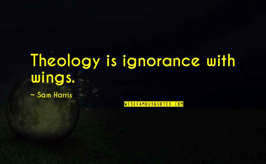 21st December 2012 Quotes By Sam Harris: Theology is ignorance with wings.