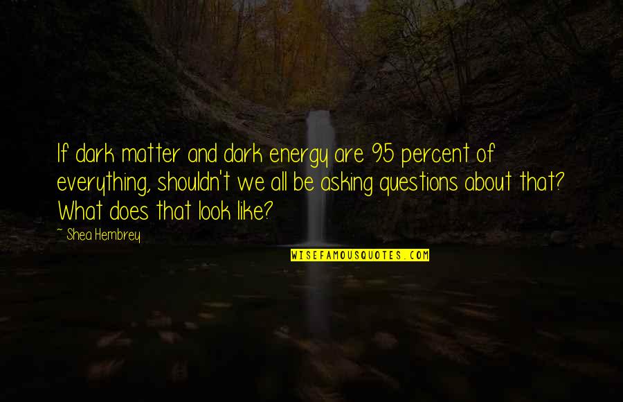 22th Monthsary Quotes By Shea Hembrey: If dark matter and dark energy are 95