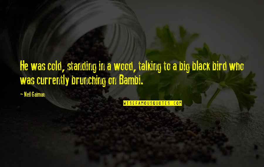 2303 Cyclorama Quotes By Neil Gaiman: He was cold, standing in a wood, talking 2303 Cyclorama Quotes By Neil Gaiman: He was cold, standing in a wood, talking