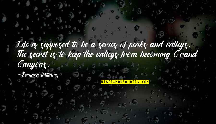 230th Harris Quotes By Bernard Williams: Life is supposed to be a series of 230th Harris Quotes By Bernard Williams: Life is supposed to be a series of