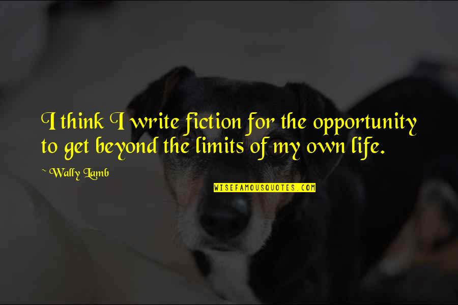 236707d Quotes By Wally Lamb: I think I write fiction for the opportunity