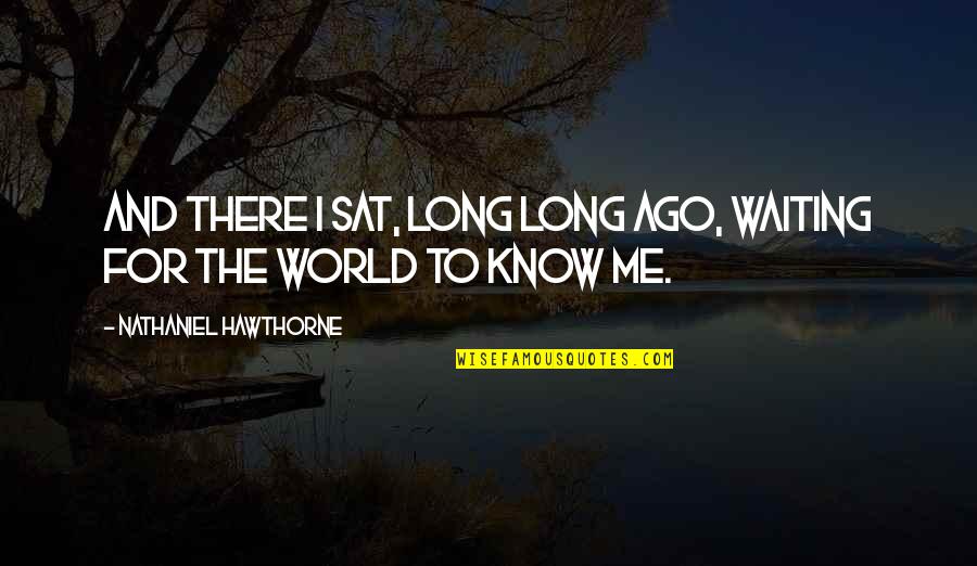 24/7 In Love Quotes By Nathaniel Hawthorne: And there I sat, long long ago, waiting