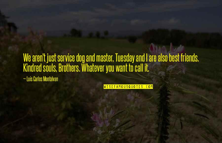 2419 West Quotes By Luis Carlos Montalvan: We aren't just service dog and master, Tuesday 2419 West Quotes By Luis Carlos Montalvan: We aren't just service dog and master, Tuesday
