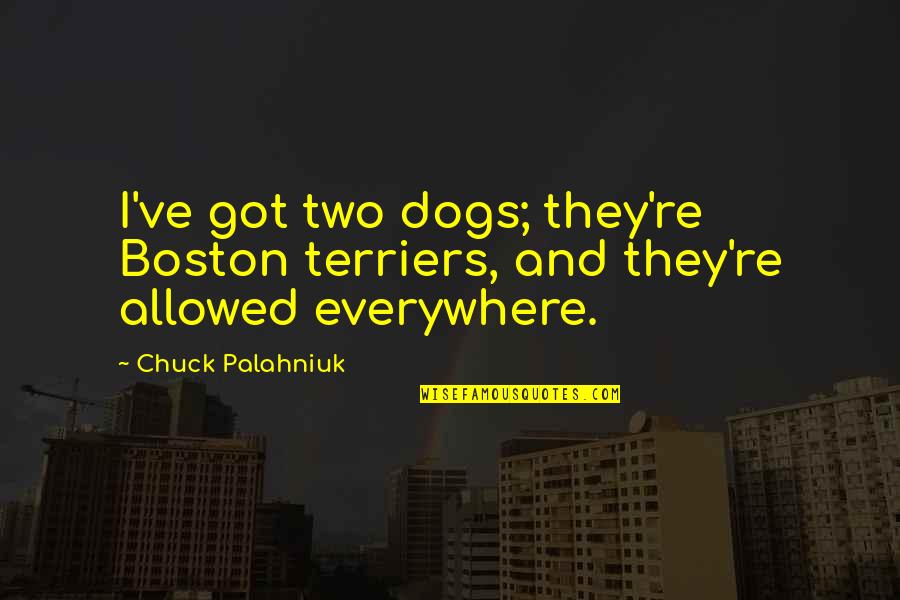 246810 Quotes By Chuck Palahniuk: I've got two dogs; they're Boston terriers, and