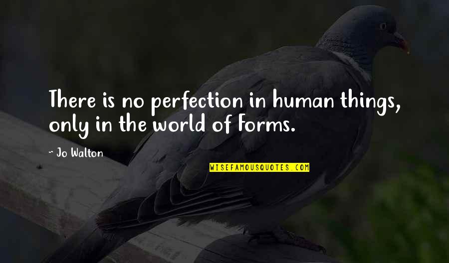 25 21 Quotes By Jo Walton: There is no perfection in human things, only