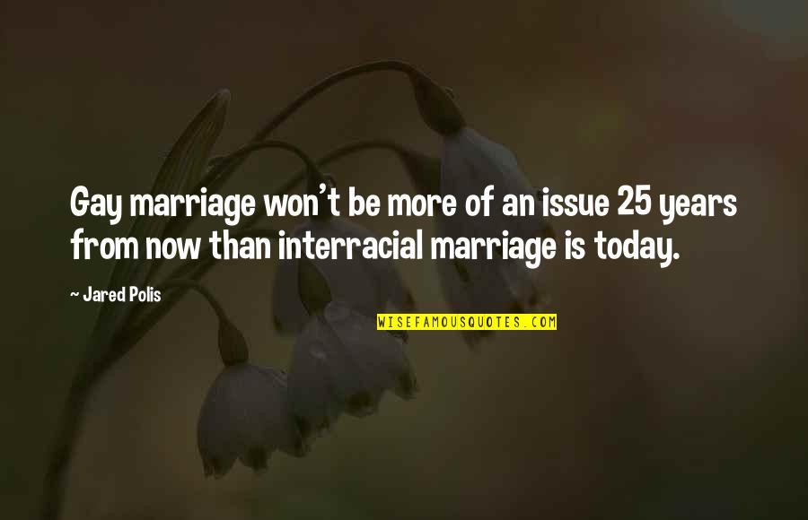 25 Years Of Marriage Quotes By Jared Polis: Gay marriage won't be more of an issue