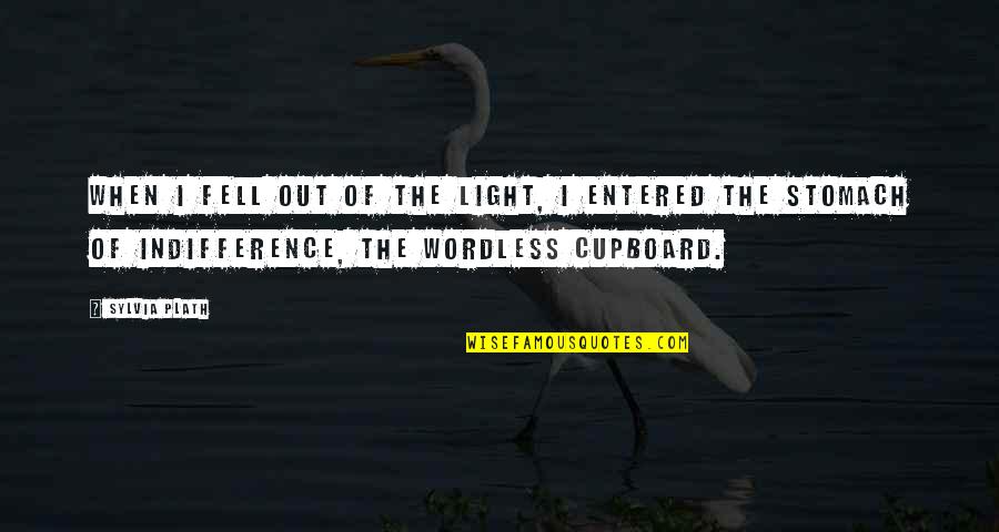 2566 Divided Quotes By Sylvia Plath: When I fell out of the light, I