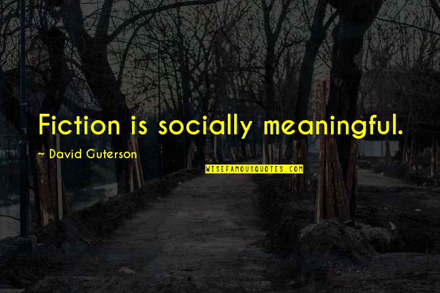 2585 Quotes By David Guterson: Fiction is socially meaningful.