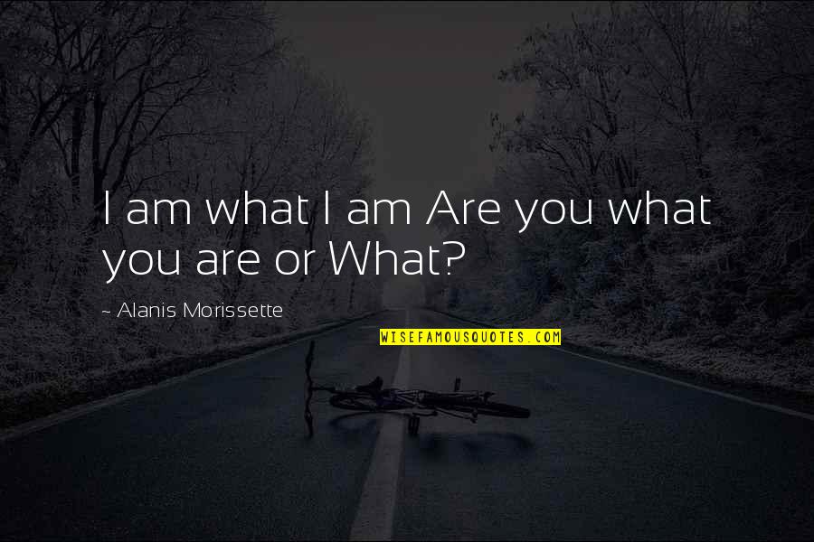 2652664 Quotes By Alanis Morissette: I am what I am Are you what