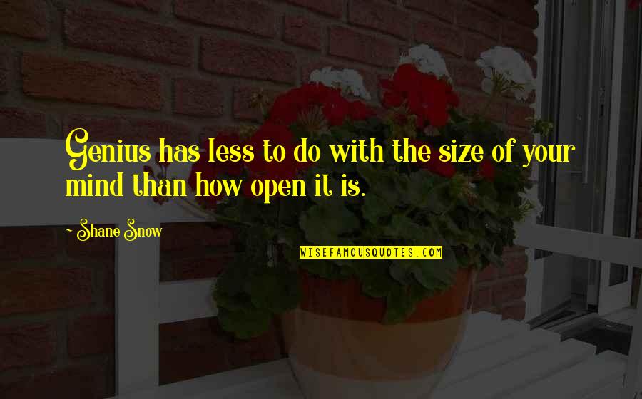 269ss Quotes By Shane Snow: Genius has less to do with the size