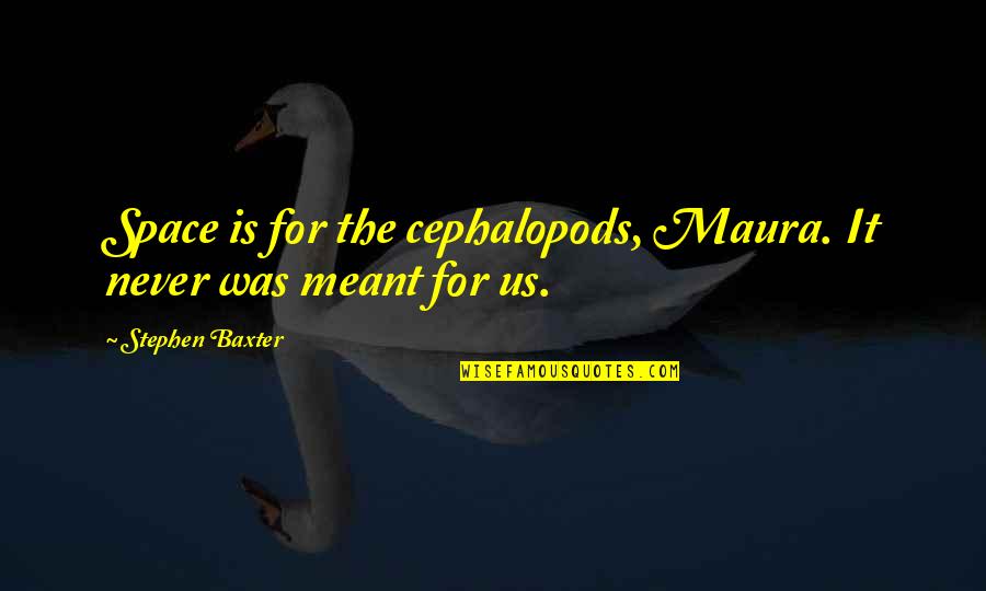 26b Bra Quotes By Stephen Baxter: Space is for the cephalopods, Maura. It never