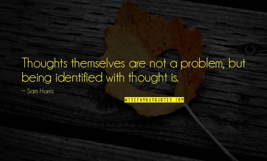 27576 Quotes By Sam Harris: Thoughts themselves are not a problem, but being