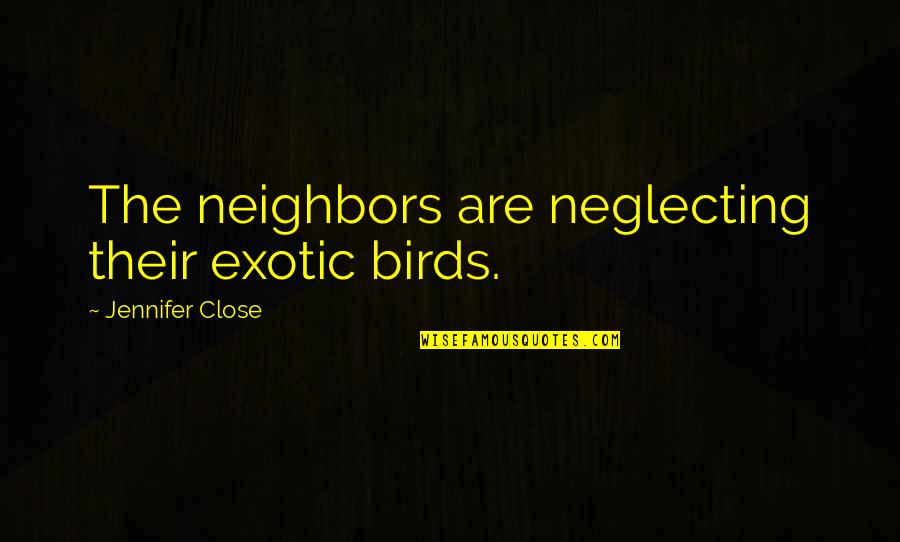 2aa888 Quotes By Jennifer Close: The neighbors are neglecting their exotic birds. 2aa888 Quotes By Jennifer Close: The neighbors are neglecting their exotic birds.