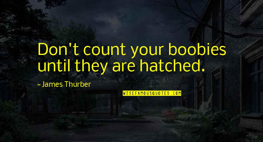 2gig Quotes By James Thurber: Don't count your boobies until they are hatched. 2gig Quotes By James Thurber: Don't count your boobies until they are hatched.