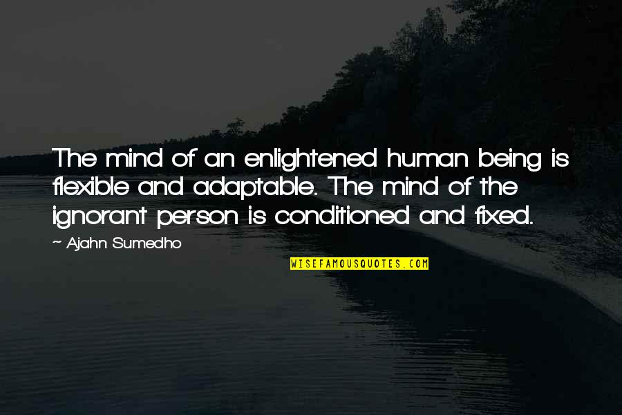2nd Choice Love Quotes By Ajahn Sumedho: The mind of an enlightened human being is