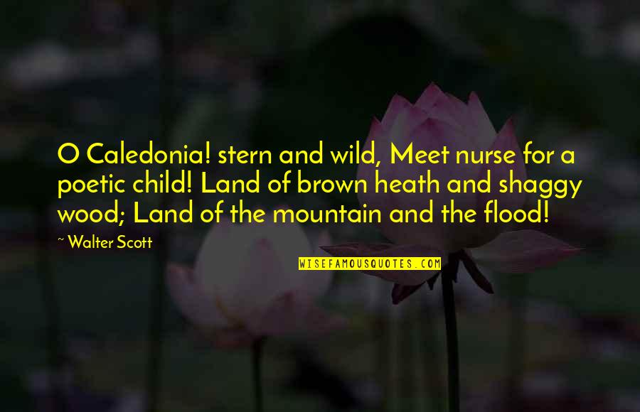 2nd Grade Motivational Quotes By Walter Scott: O Caledonia! stern and wild, Meet nurse for