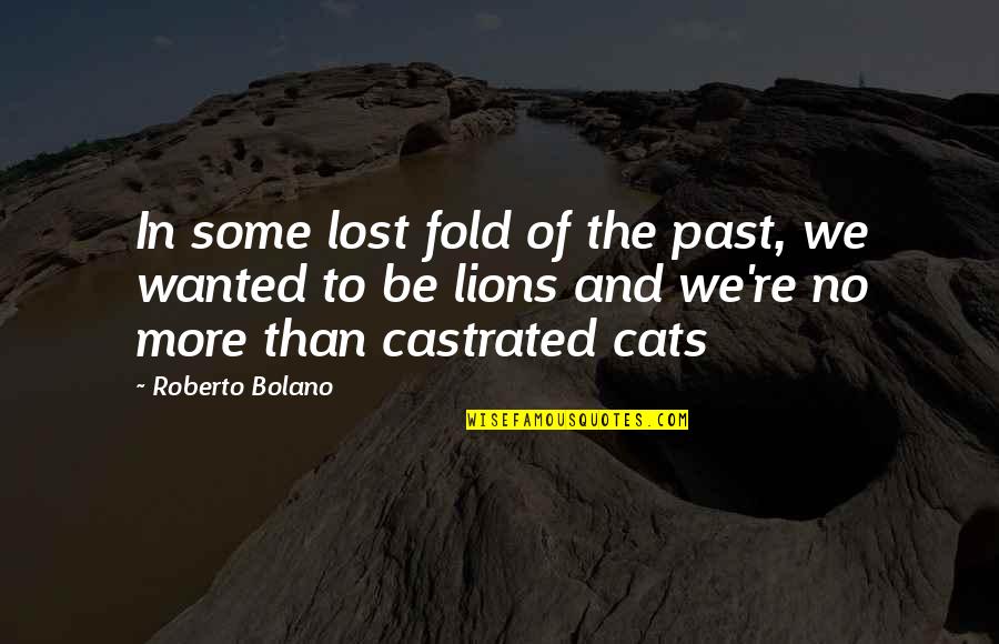 3 Lions Best Quotes By Roberto Bolano: In some lost fold of the past, we