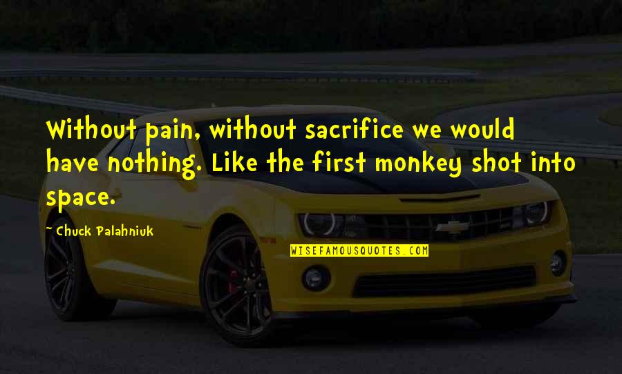 3 Monkey Quotes By Chuck Palahniuk: Without pain, without sacrifice we would have nothing.