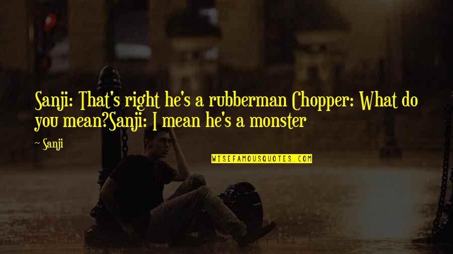3 Monkey Quotes By Sanji: Sanji: That's right he's a rubberman Chopper: What