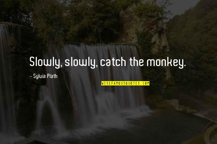3 Monkey Quotes By Sylvia Plath: Slowly, slowly, catch the monkey.