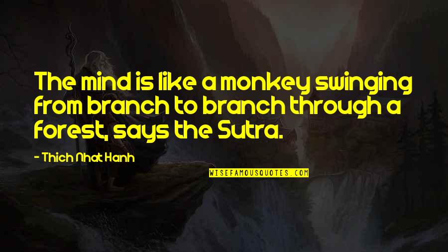 3 Monkey Quotes By Thich Nhat Hanh: The mind is like a monkey swinging from