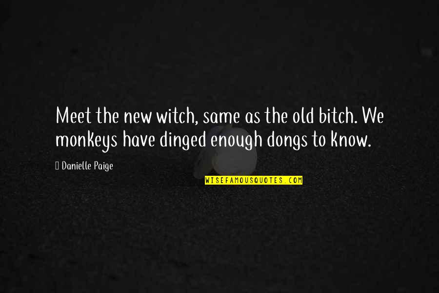 3 Monkeys Quotes By Danielle Paige: Meet the new witch, same as the old