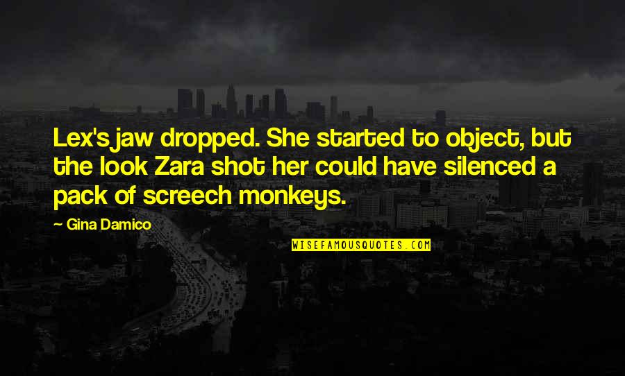 3 Monkeys Quotes By Gina Damico: Lex's jaw dropped. She started to object, but