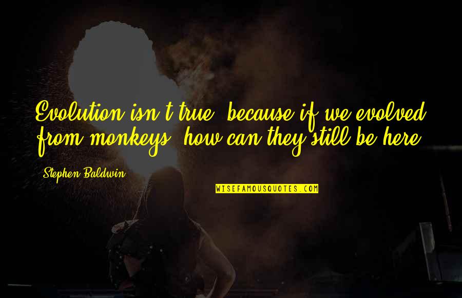 3 Monkeys Quotes By Stephen Baldwin: Evolution isn't true, because if we evolved from
