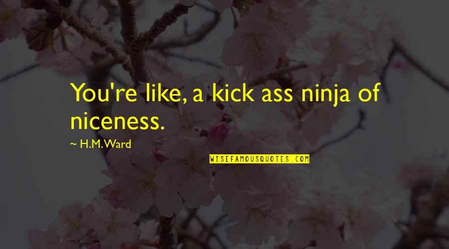 3 Ninja Quotes By H.M. Ward: You're like, a kick ass ninja of niceness.