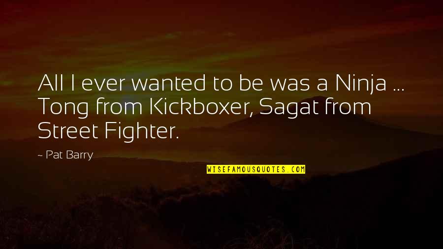 3 Ninja Quotes By Pat Barry: All I ever wanted to be was a