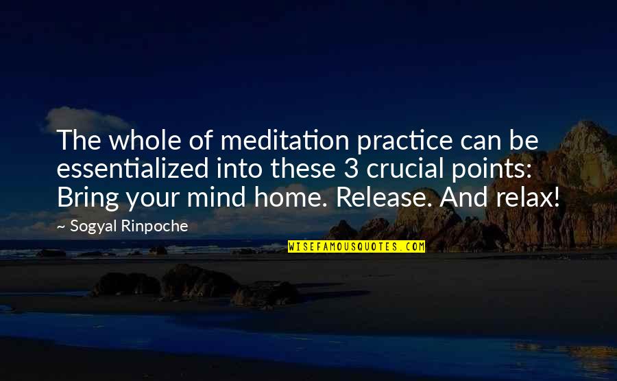 3 Points Quotes By Sogyal Rinpoche: The whole of meditation practice can be essentialized