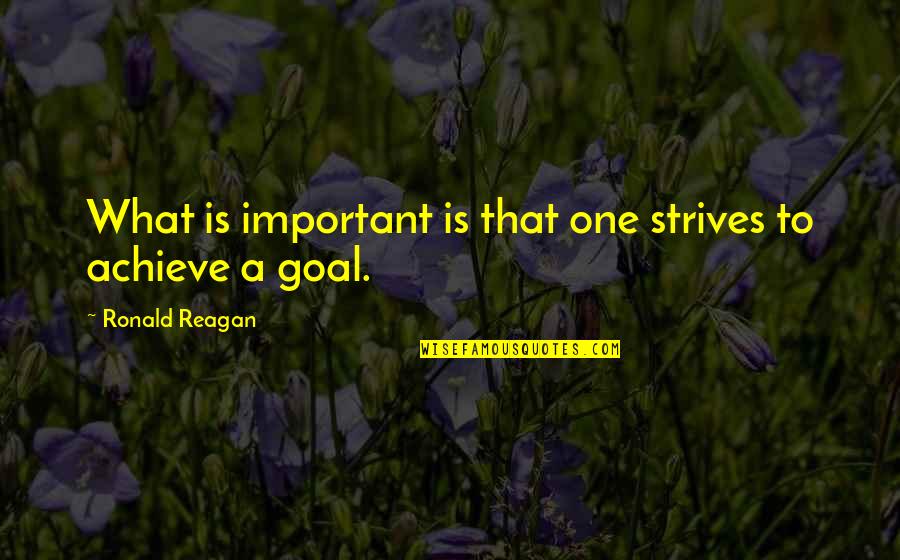 3 Shaban Quotes By Ronald Reagan: What is important is that one strives to 3 Shaban Quotes By Ronald Reagan: What is important is that one strives to