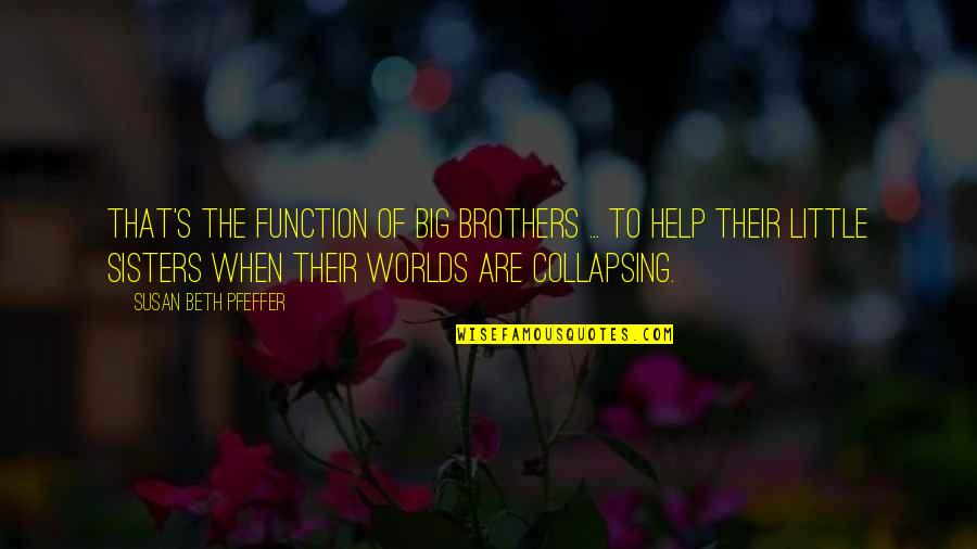 3 Siblings Quotes By Susan Beth Pfeffer: That's the function of big brothers ... to