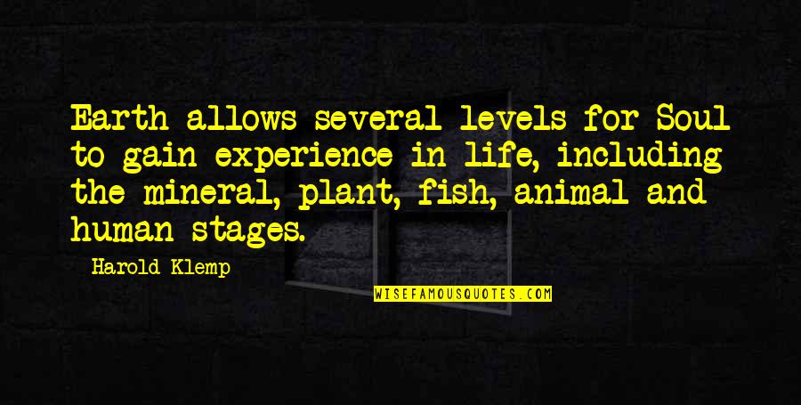 3 Stages Of Life Quotes By Harold Klemp: Earth allows several levels for Soul to gain 3 Stages Of Life Quotes By Harold Klemp: Earth allows several levels for Soul to gain