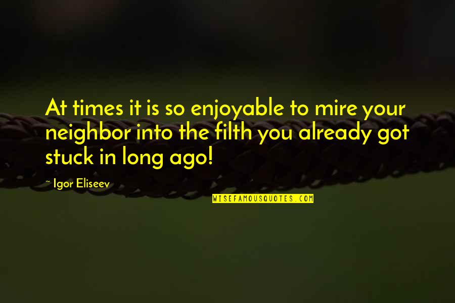 3 Times Quotes By Igor Eliseev: At times it is so enjoyable to mire